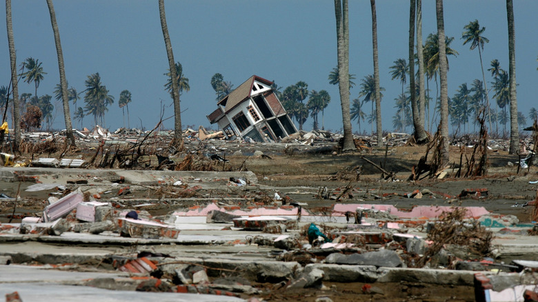 Tsunami de l'océan Indien de 2004