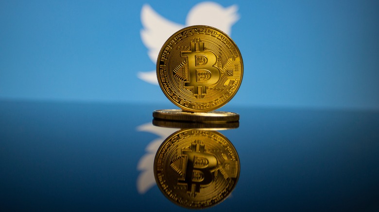 Bitcoins devant le logo de l'oiseau bleu Twitter