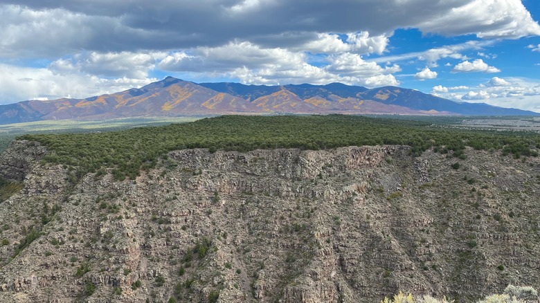 Mont Baldy, Nouveau-Mexique, où se trouvait la mine d'or Mystic