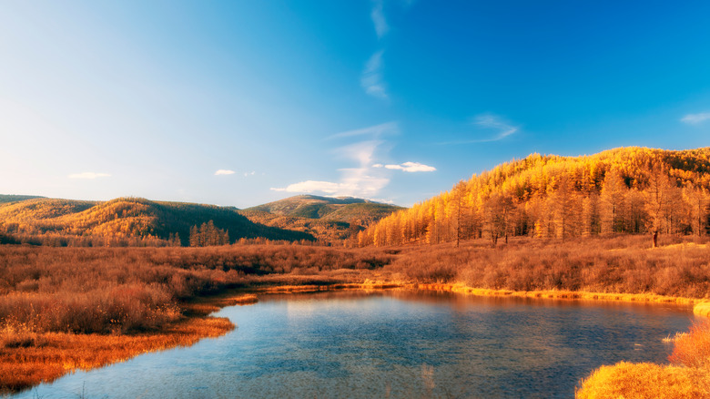 Montagne Burkhan Khaldun en Mongolie