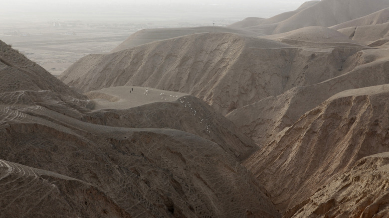 Région autonome Hui de Ningxia