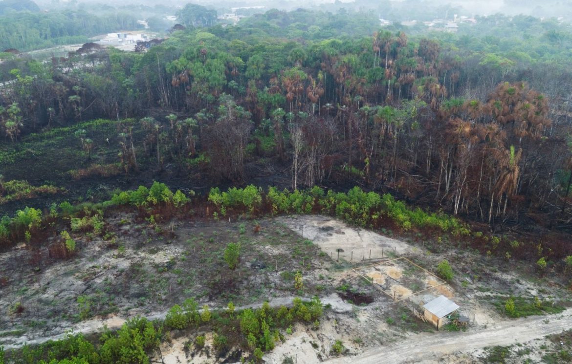 Incendies au Brésil : superficie détruite augmente de 79 % en 2024