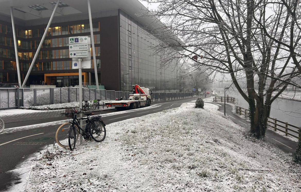 Strasbourg : La neige industrielle s'installe à La Robertsau