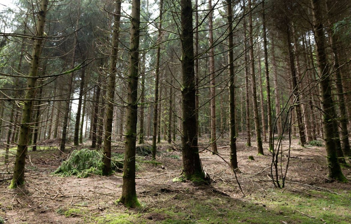 Un homme de 78 ans retrouvé sain et sauf en Haute-Savoie