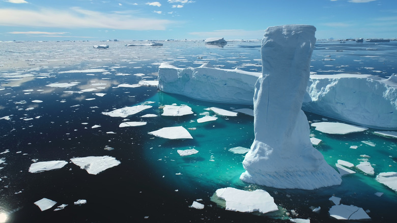 Champ de glace arctique