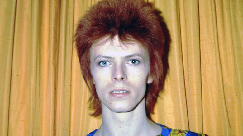 Young David Bowie