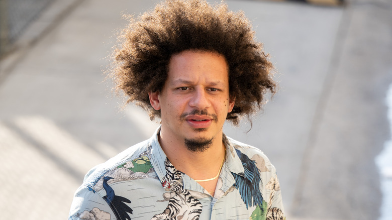 Eric André en chemise à motif animal