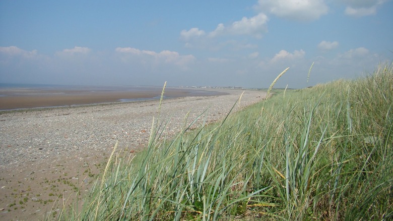 Solway Firth, Royaume-Uni