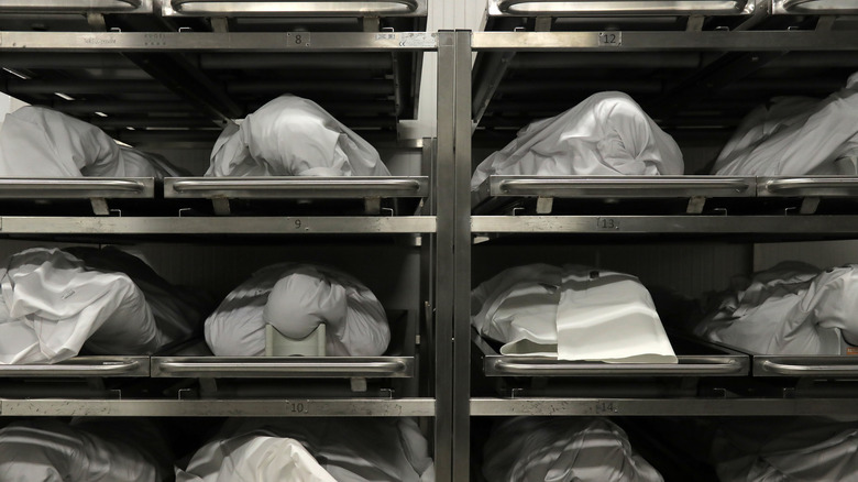 Des corps dans une morgue