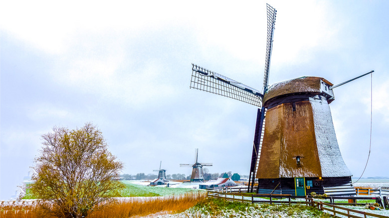 Windmill in winter