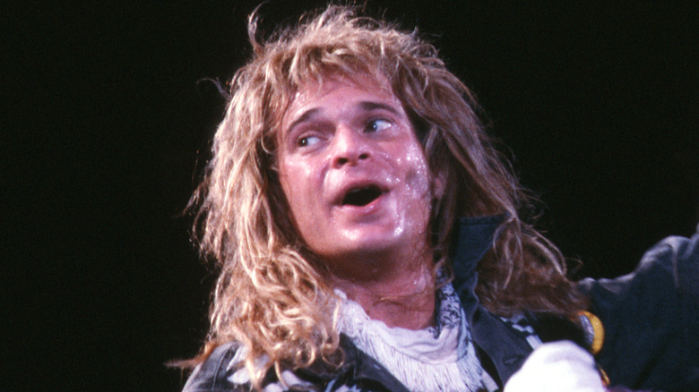 david lee roth smirking onstage looking off