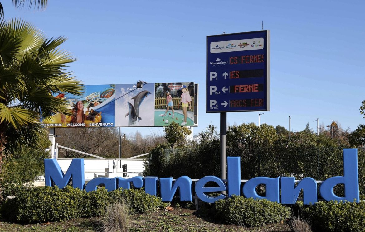Avenir incertain pour Marineland : orques et salariés en danger