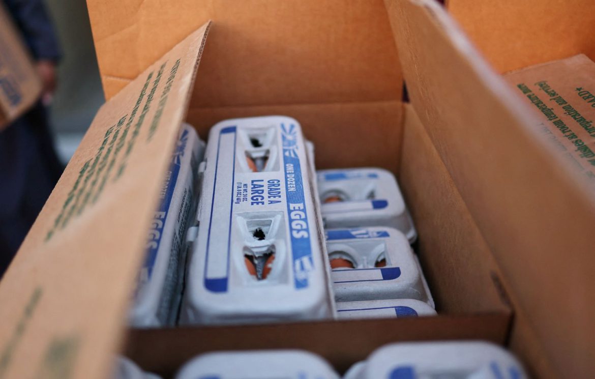 Pénurie d'œufs aux États-Unis : importations en urgence