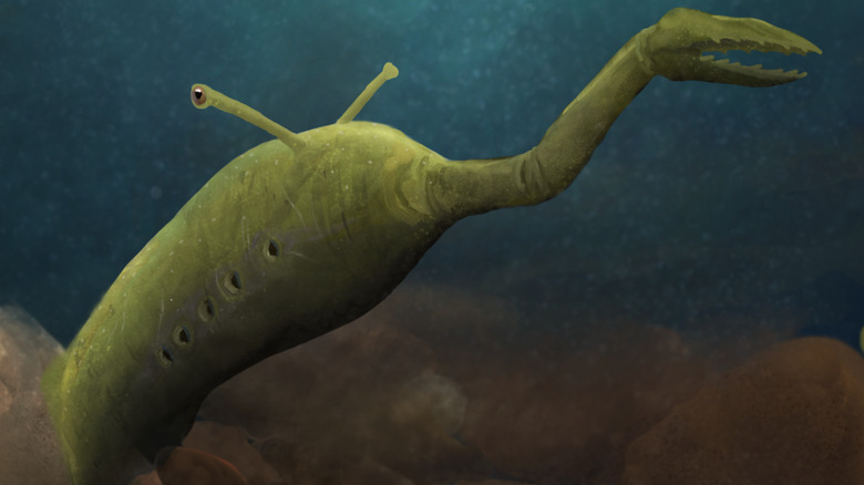 Illustration du Monstre de Tully