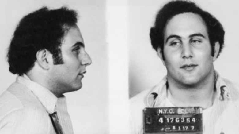 Portrait de David Berkowitz