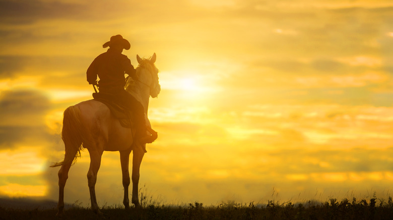 Cowboy à cheval admirant le ciel