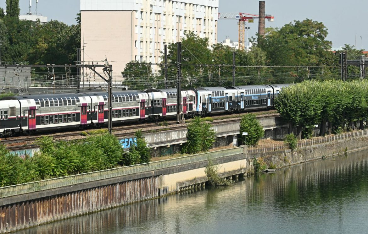 Mystère persistant : quatre corps retrouvés dans la Seine