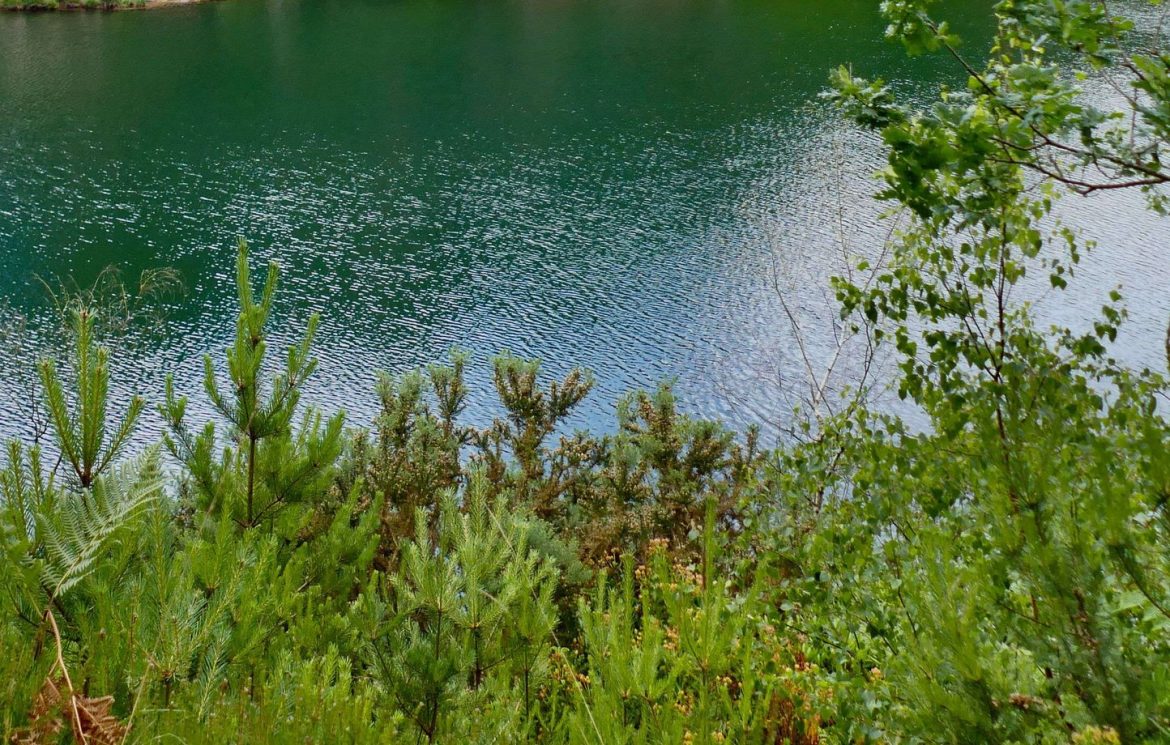 Pau : Odeurs désagréables liées à la vidange du lac d'Ousse-des-Bois