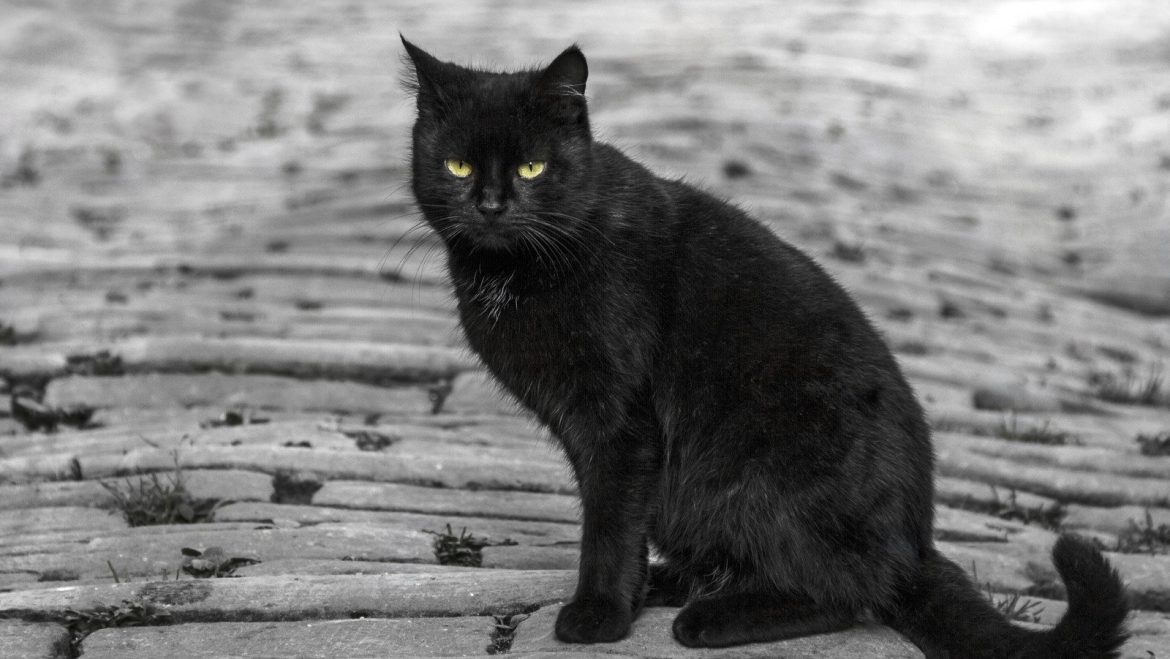 Musiciens célèbres et leurs rituels superstitieux